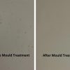Before and After Mould Treatment Image